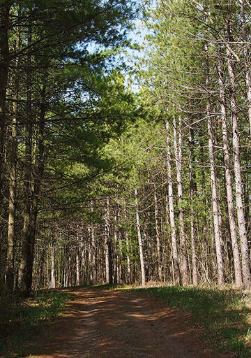 Mountsberg Conservation Area