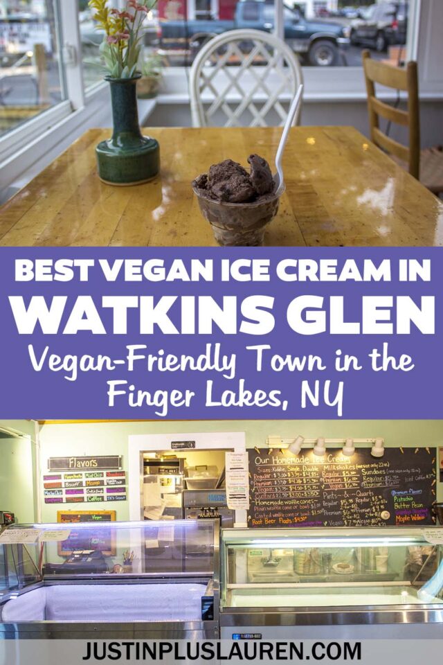 Best Vegan Ice Cream in Watkins Glen, New York Justin