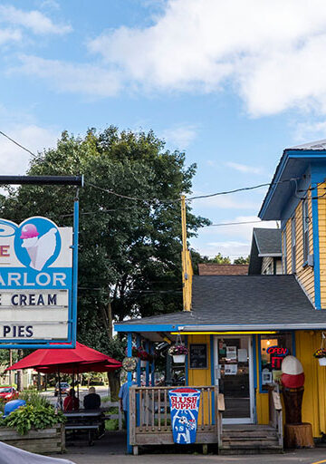 Vegan ice cream in Watkins Glen NY