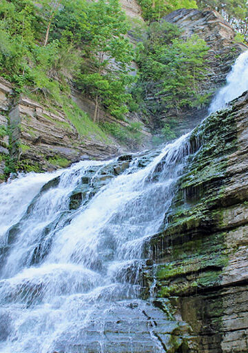 Robert H Treman State Park
