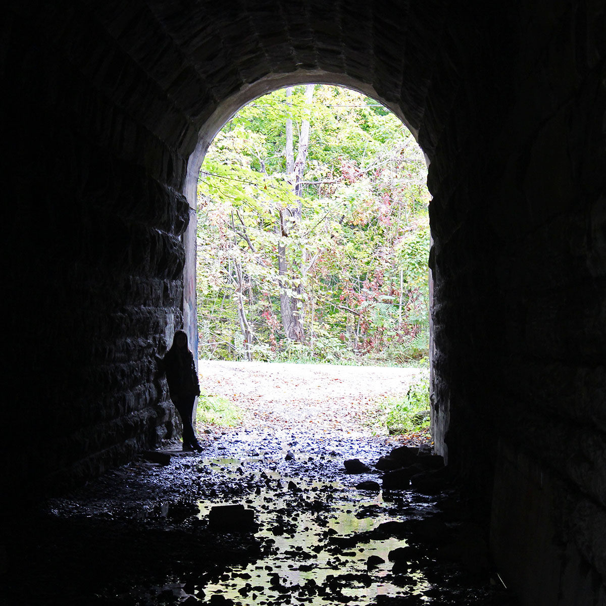 The Screaming Tunnel