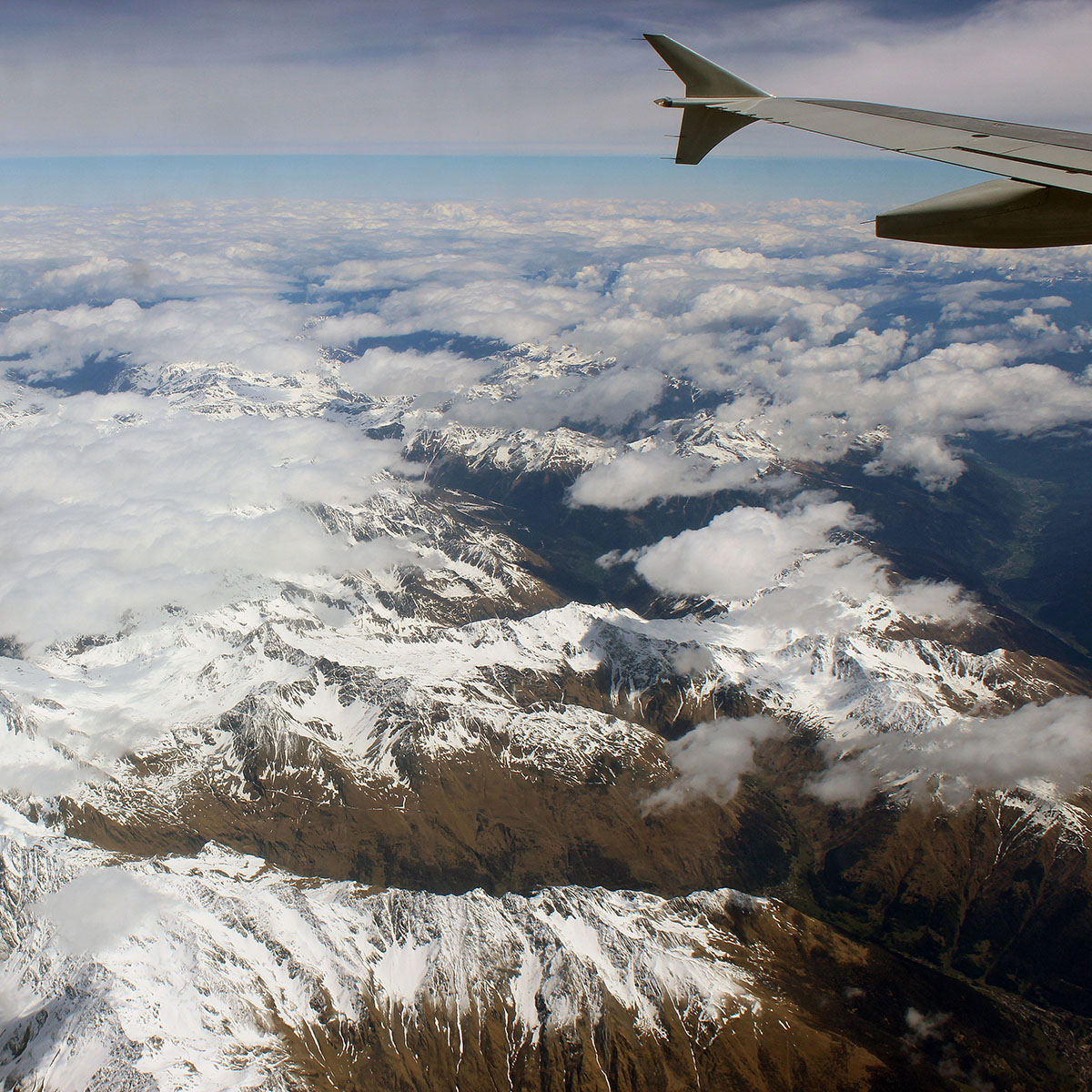 Air Transat Vegan