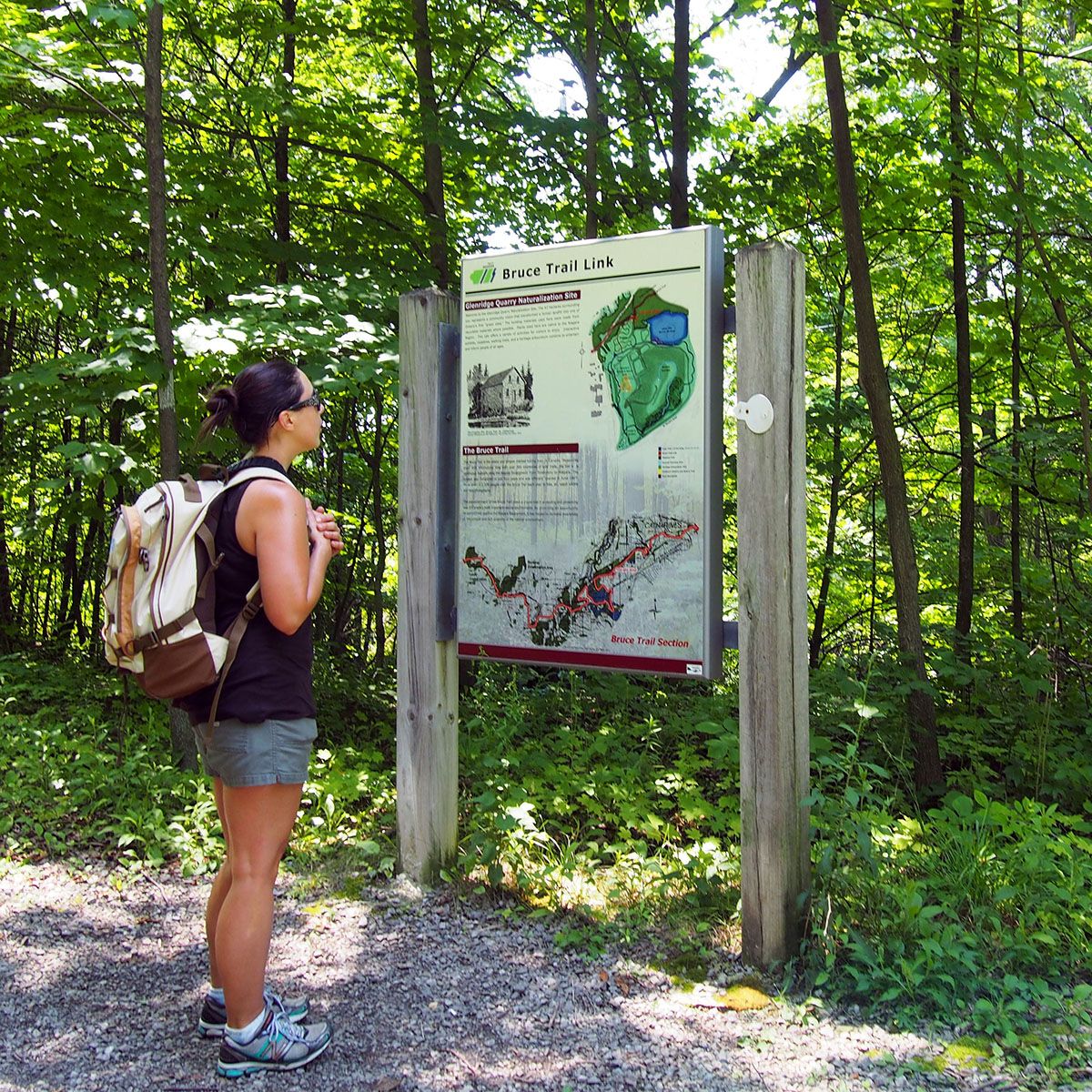 Bruce Trail Hike #5 in Niagara Region