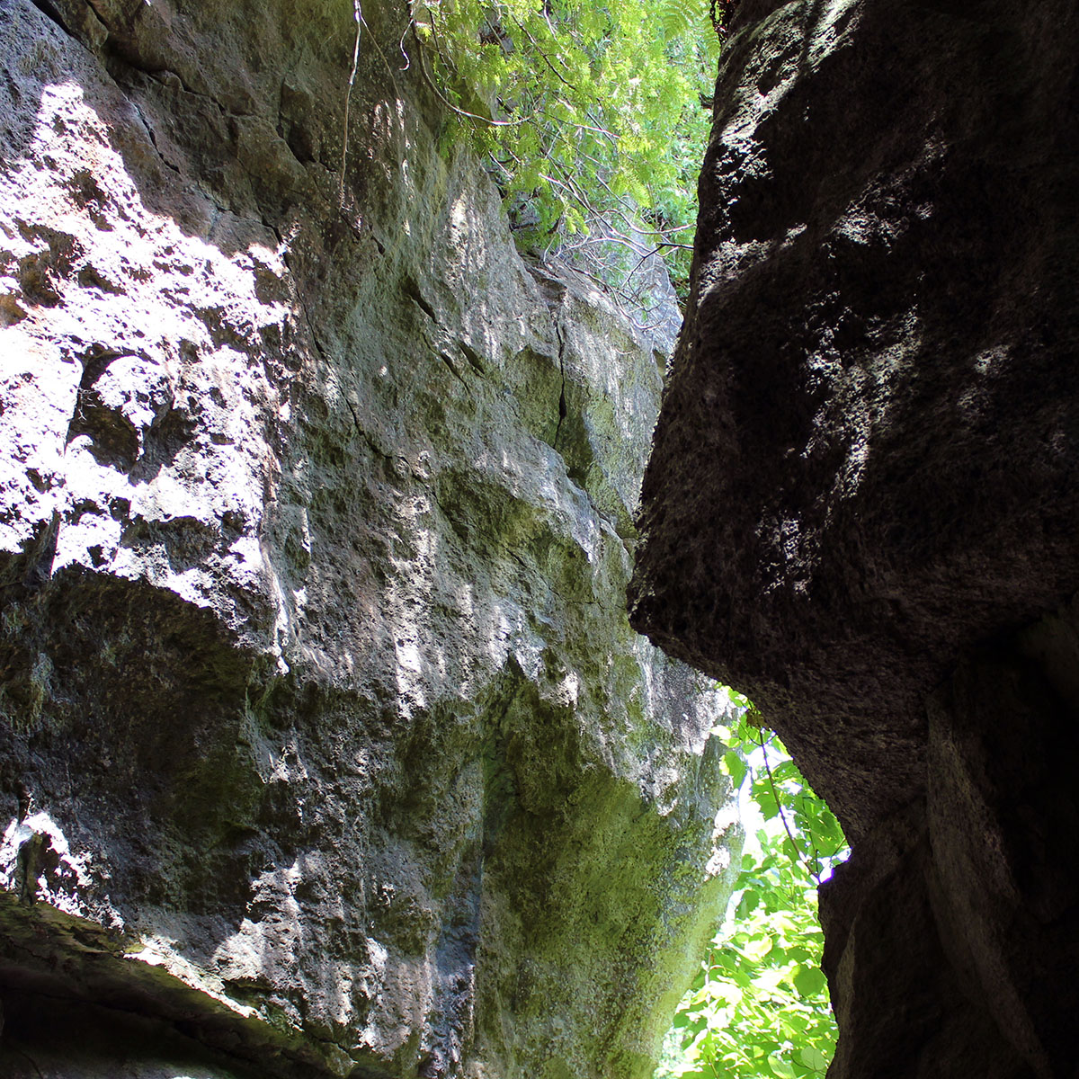 Scenic Caves Nature Adventures