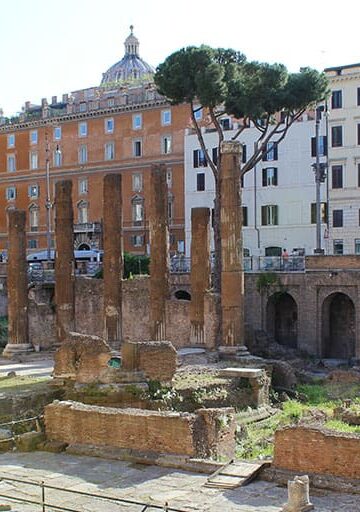 Cat Sanctuary Rome