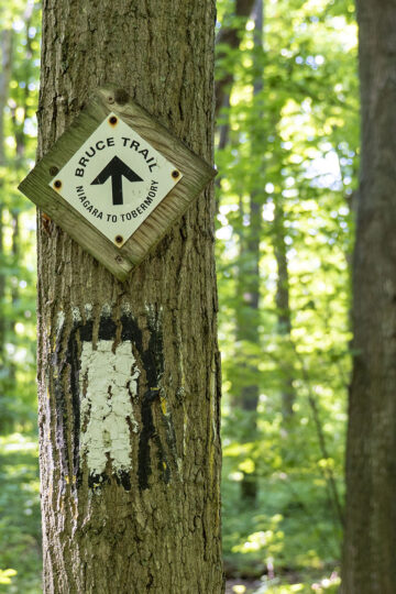 The Bruce Trail
