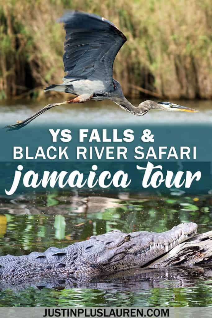 YS Falls and Black River Safari - Incredible tour in Jamaica #Jamaica #Tour #YSFalls #BlackRiverSafari #Travel