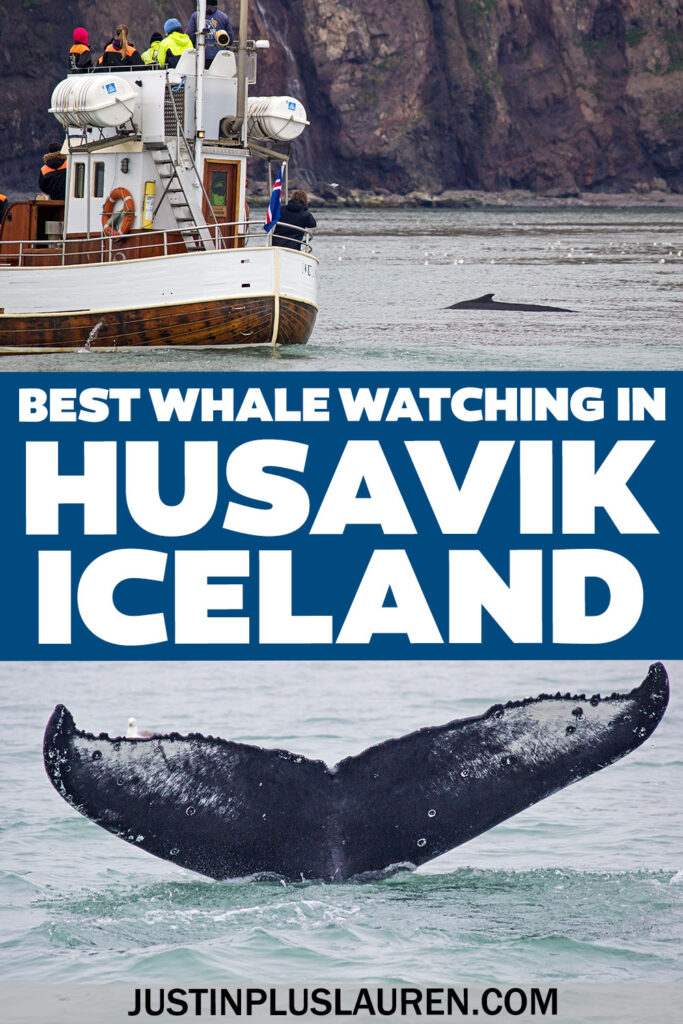 We went on a whale watching tour in Husavik, Iceland. We saw so many whales and puffins! Here's our full review and how to book your tour.