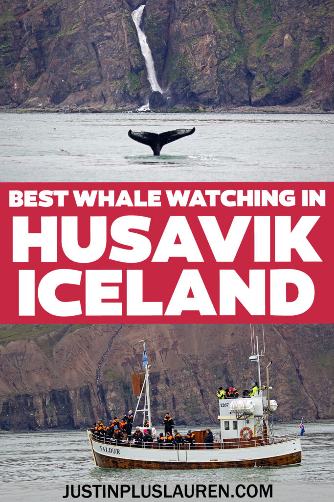 We went on a whale watching tour in Husavik, Iceland. We saw so many whales and puffins! Here's our full review and how to book your tour.
