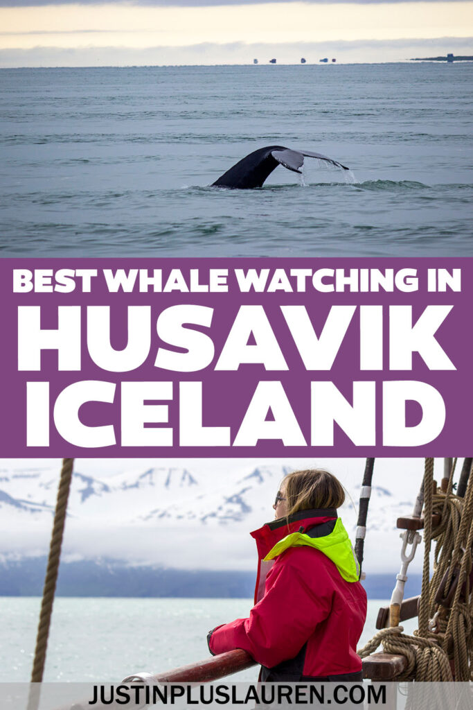 We went on a whale watching tour in Husavik, Iceland. We saw so many whales and puffins! Here's our full review and how to book your tour.