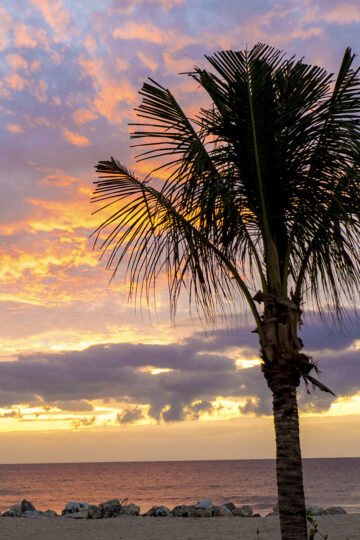 Grand Palladium Riviera Maya Vegan Guide