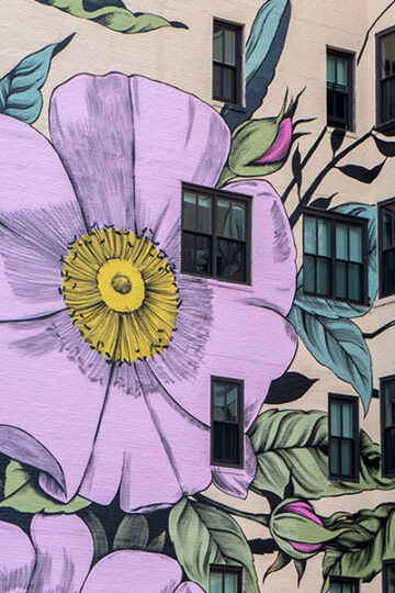 Murals in Buffalo NY