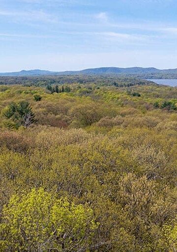 Fun Things to Do in Dutchess County NY: The Best Eco-Friendly Activities for a Weekend Getaway