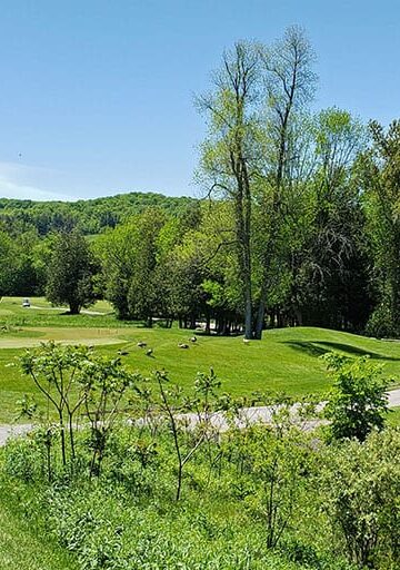Hockley Valley Resort