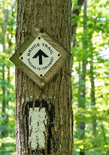 Hiking the Bruce Trail to Louth Conservation Area