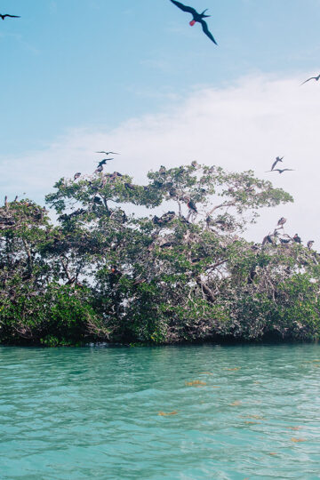 Sian Ka'an Biosphere Reserve