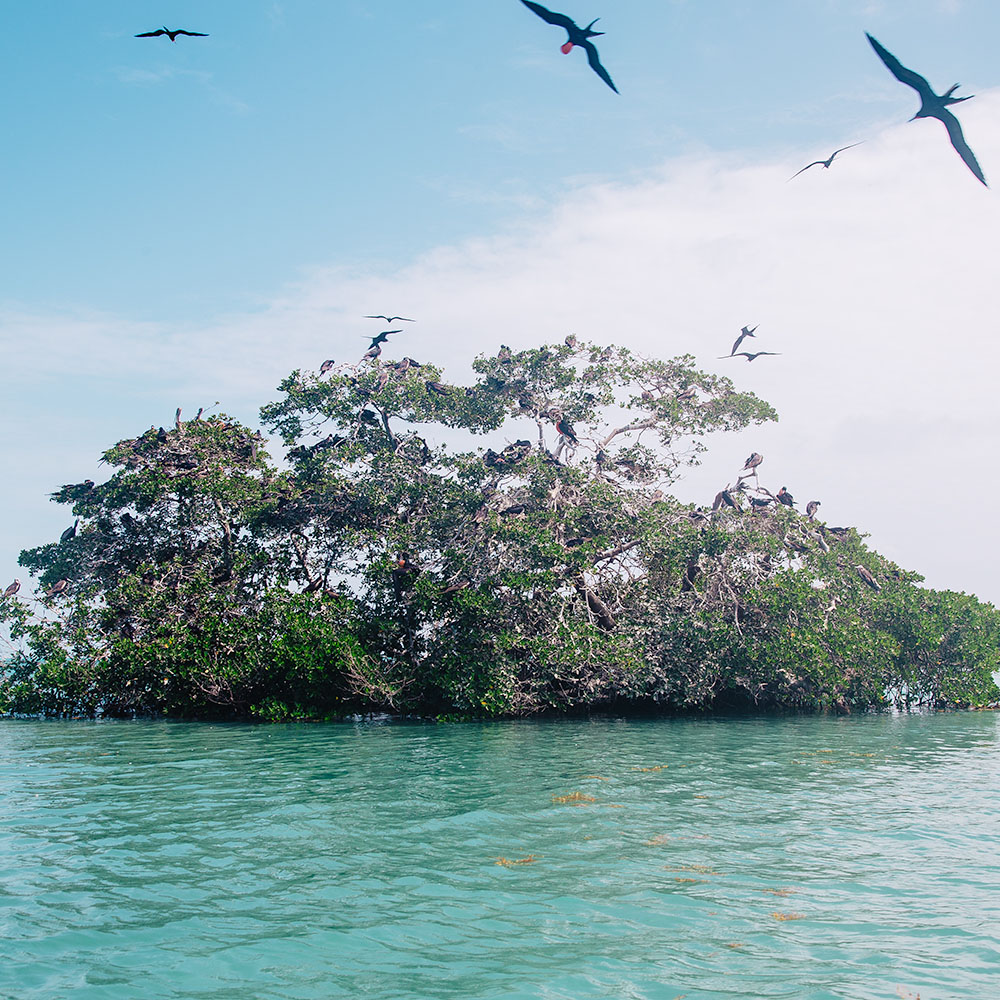Sian Ka'an Biosphere Reserve