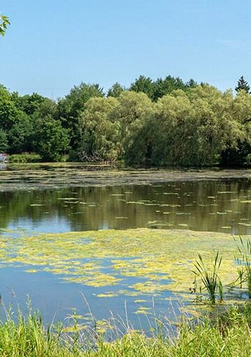 Road Trip from Toronto to Perth County Ontario