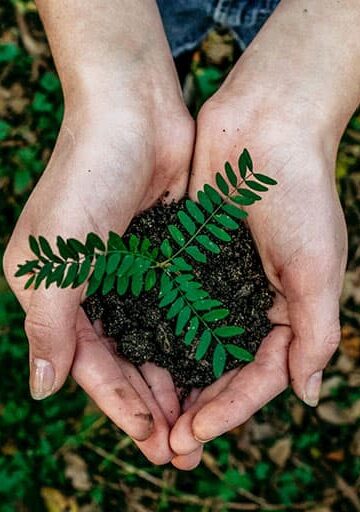 New Years Resolutions for Sustainable Travel