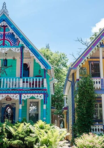 Grimsby Painted Ladies