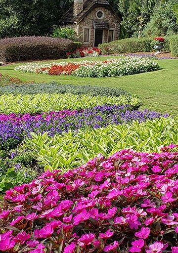 Outdoor activities in Orlando