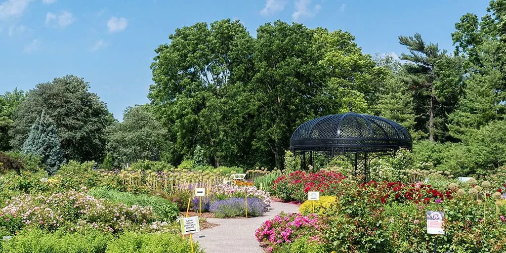 Best gardens in Toronto