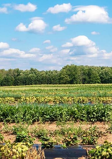 Things to do in Woodstock Ontario