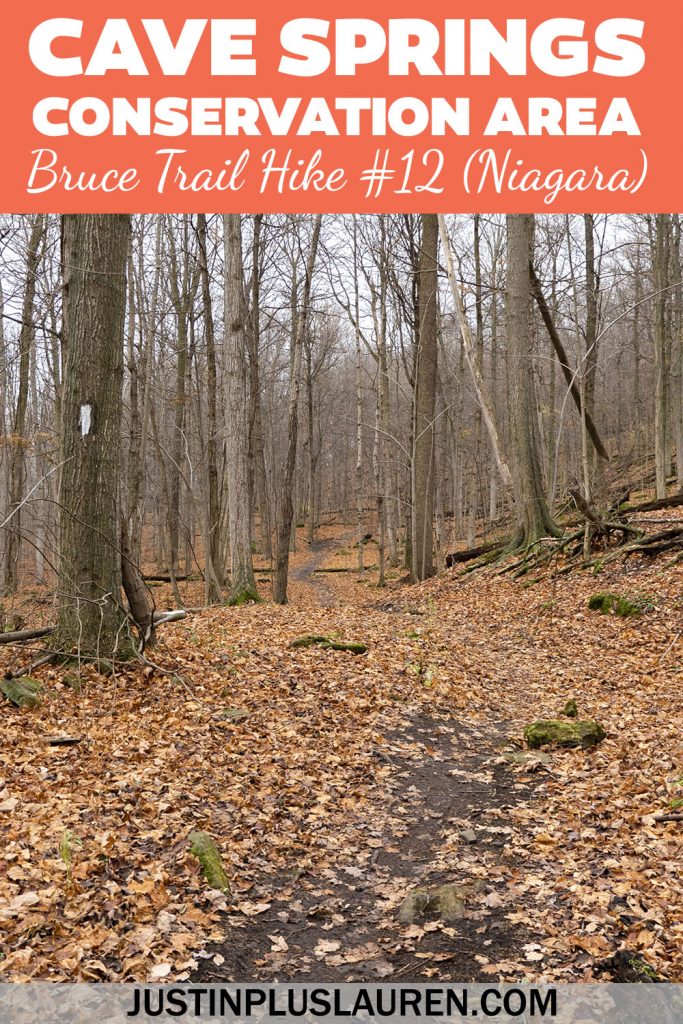 I'm slowly hiking the entire Bruce Trail in Ontario, Canada. This is hike #12 in Niagara region between Cherry Avenue and Cave Springs Conservation Area. Learn more about this section of the Bruce Trail in Niagara!