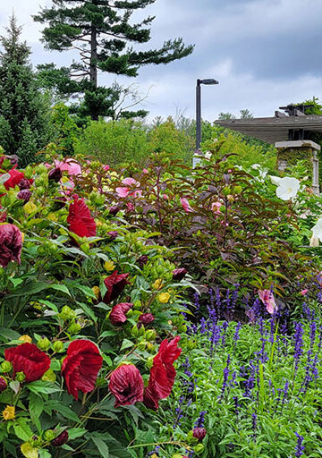 Fun things to do in Mississauga Ontario