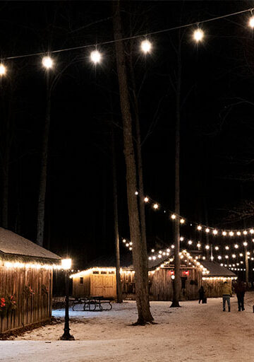 Winterlit Mountsberg