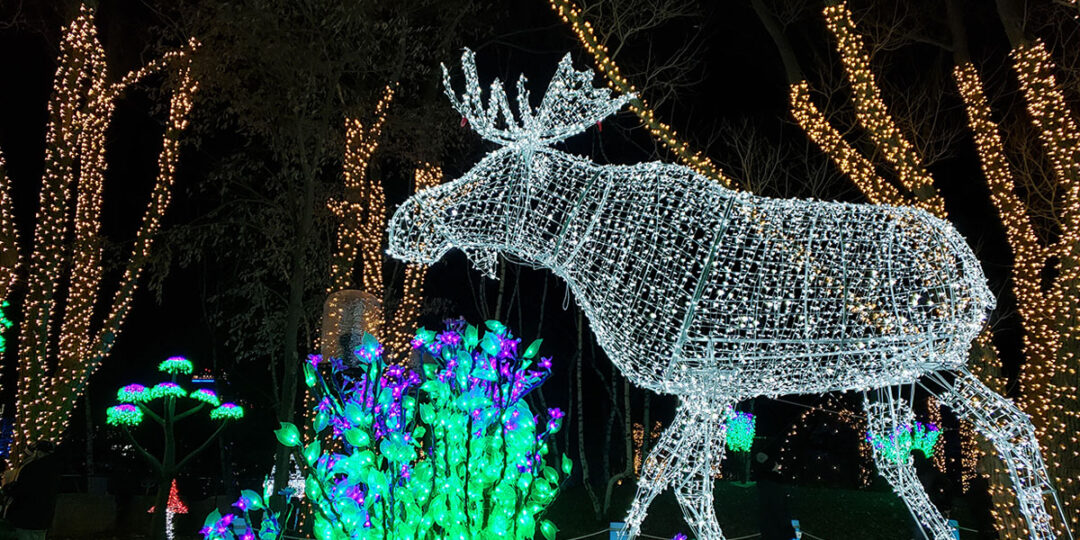 30 Best Places to See Christmas Lights in Toronto (2024)