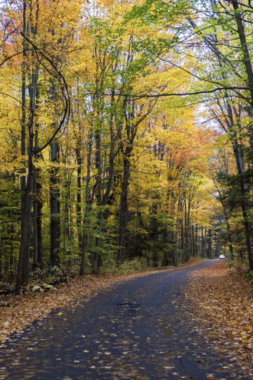 Ontario Road Trips