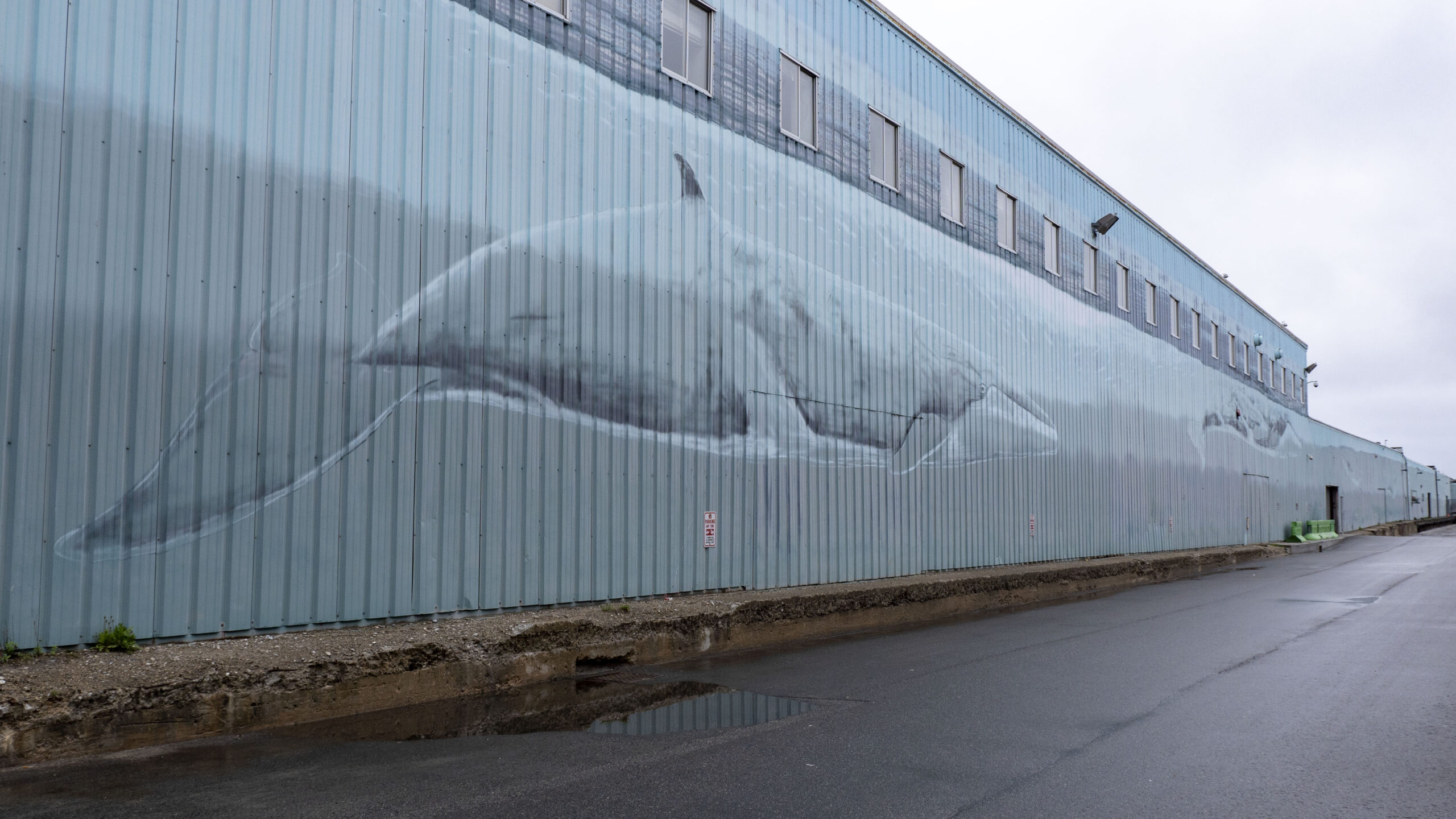 Whale mural in Portland Maine