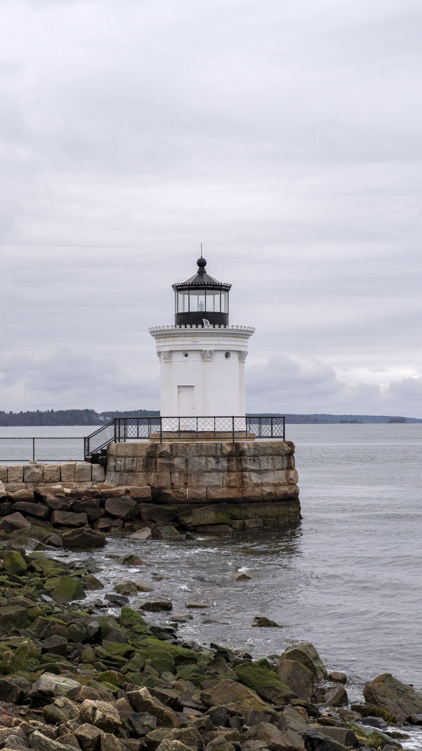 Bug Light