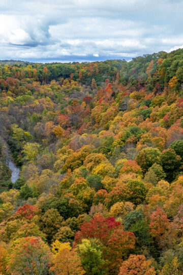 Dundas Valley Trail