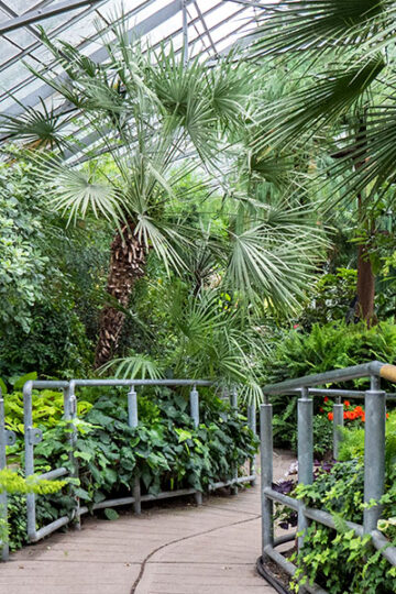 Best Gardens in Toronto