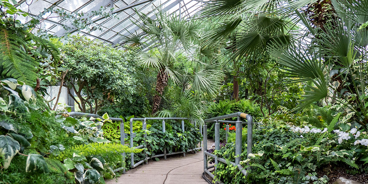 Best Gardens in Toronto