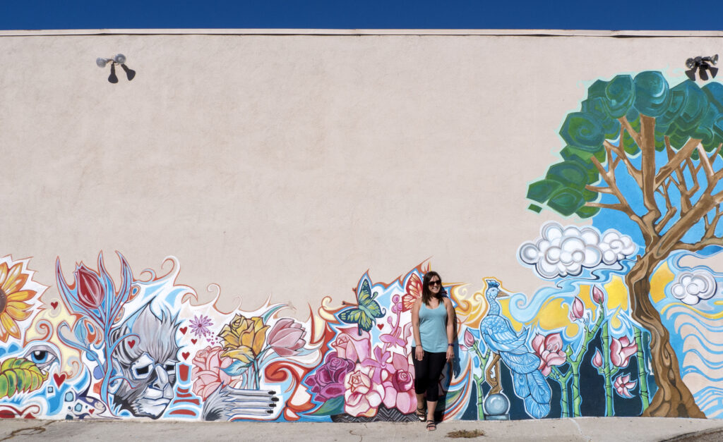 Street Art in Venice, Los Angeles