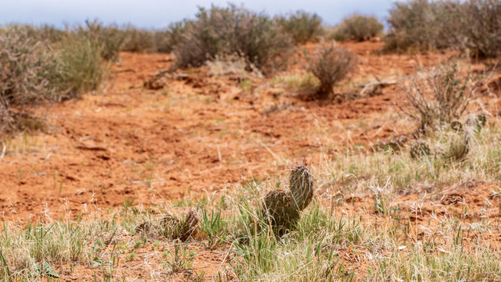 One day in Arches National Park