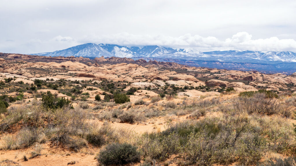 Petrified Dunes Viewpoint