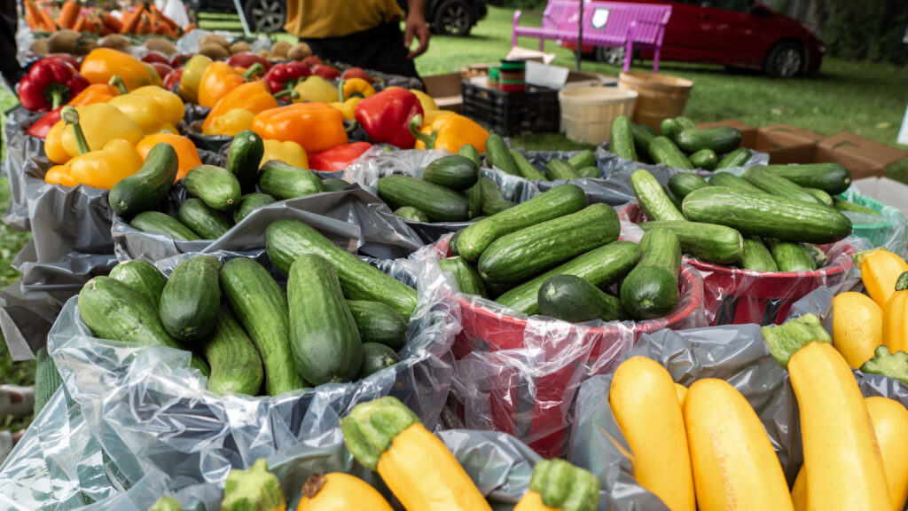 Acton Outdoor Market