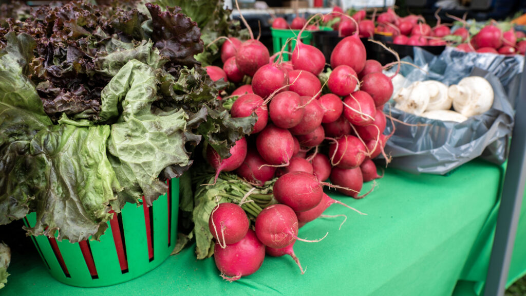 Acton Outdoor Market