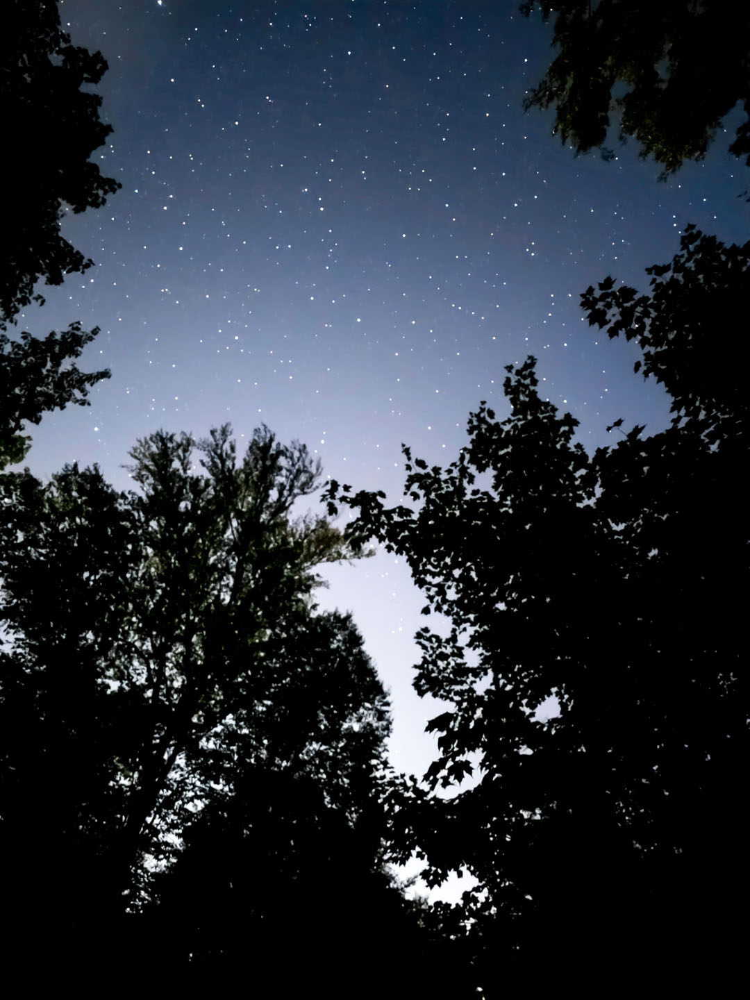 2024-Laurentians181 Mont Tremblant Dark Sky Preserve