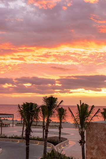 Travel insurance for snowbirds