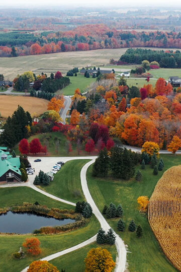 Halton Hills Wellness Day