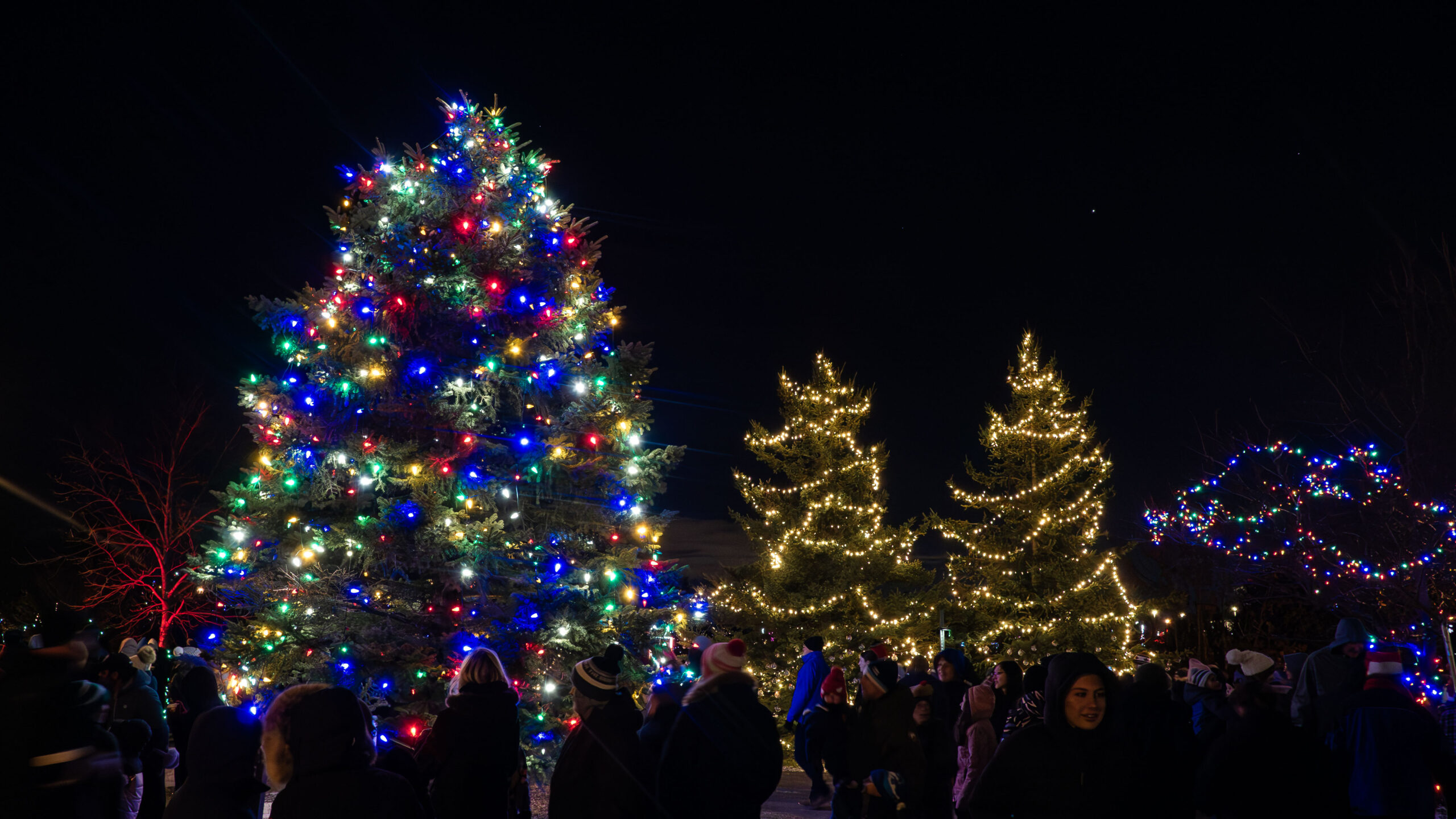 Christmas in Halton Hills: Light up the Hills