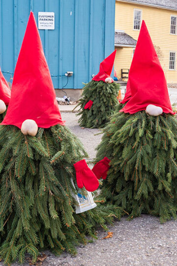 Halton Hills Christmas
