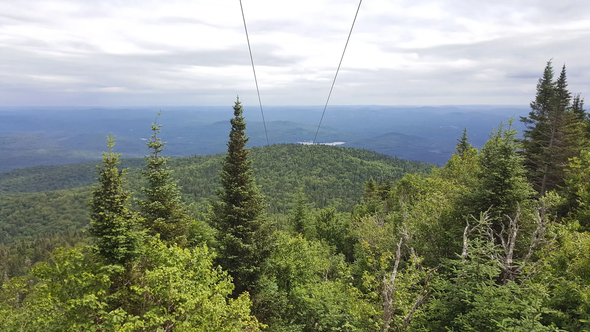 Ziptrek Ecotours