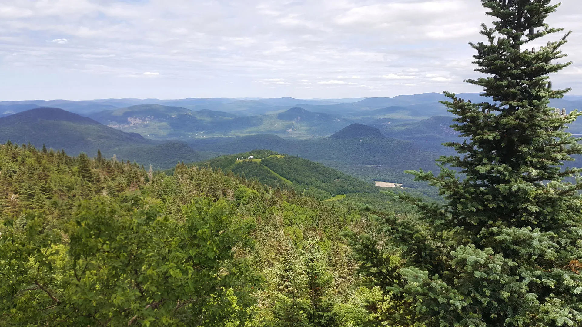 Ziptrek Ecotours