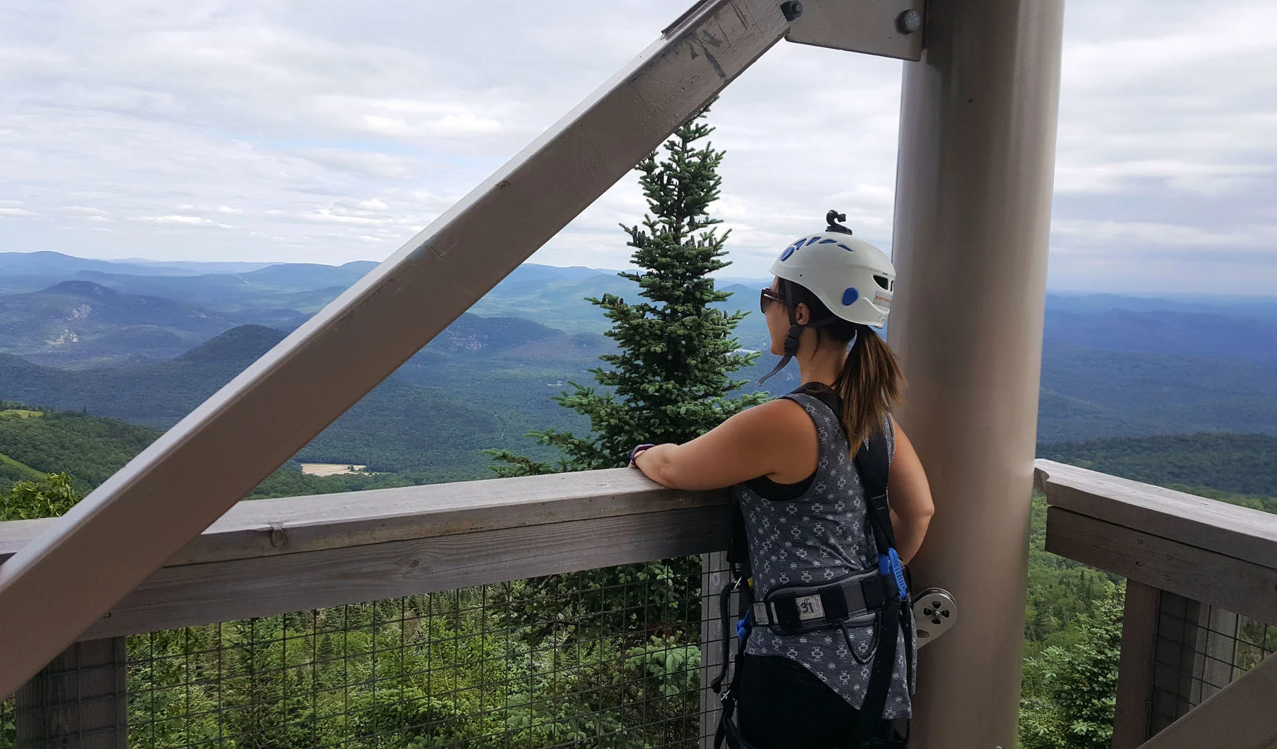 Ziptrek Ecotours